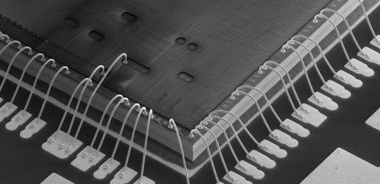 電子顕微鏡 SEM