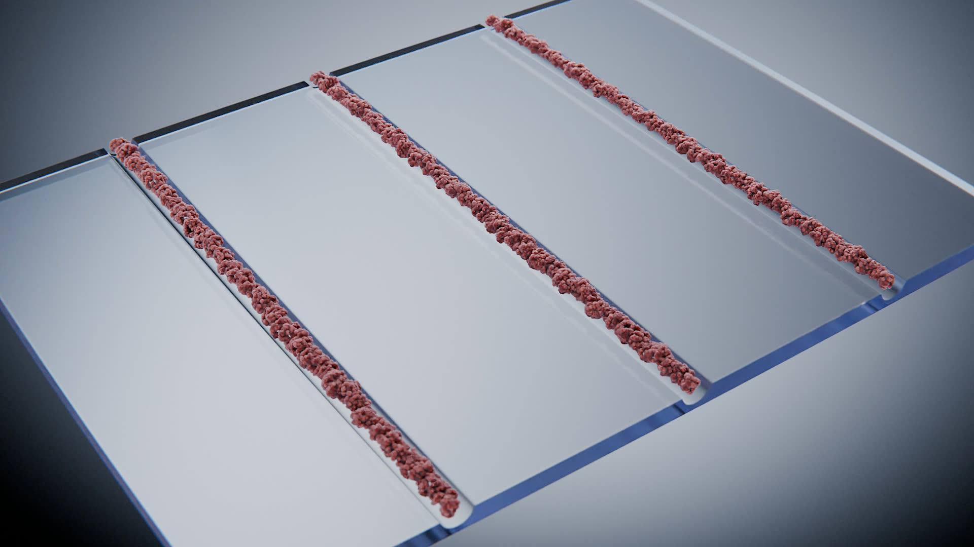 網膜再生「RPE細胞編」3DCGアニメーション